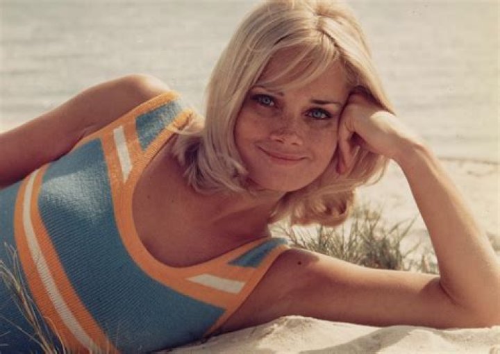 Andrea Dromm Today: A Comprehensive Look at Her Life and Legacy