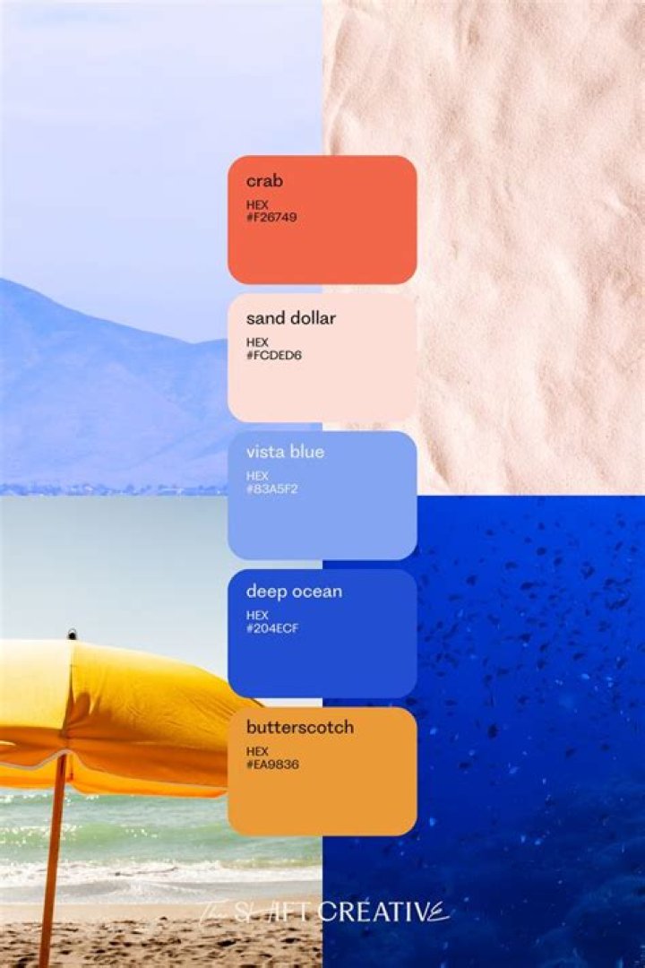 Colors for Takaba: Choosing the Perfect Palette