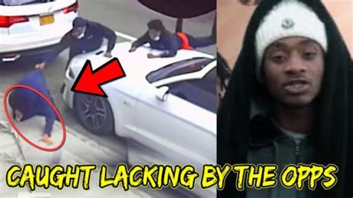 Exploring the Fascinating World of Woo Lotti Videos