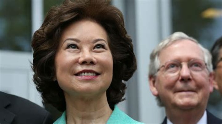 Exploring the Life and Achievements of Elaine Chao's Sister