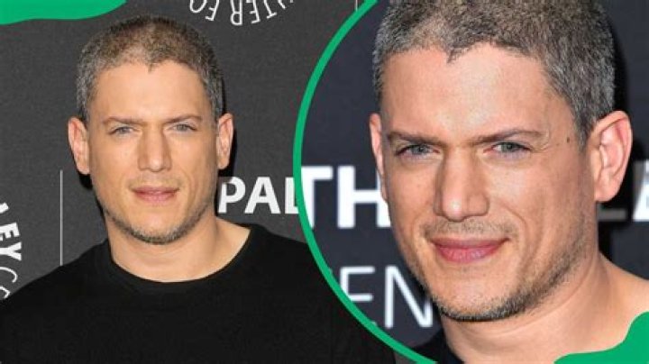 Exploring Wentworth Miller's Girlfriend: Relationships and Insights