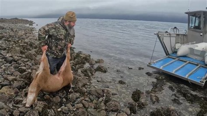 Life Below Zero: A Deep Dive into Survival in the Alaskan Wilderness