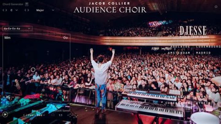 The Enigmatic Journey of Jacob Collier: Partnering in Music and Life
