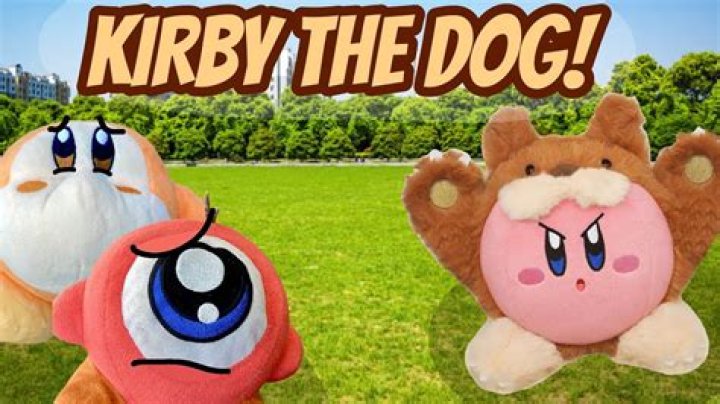 The Ultimate Guide to Kirby the Dog: Must-See Videos