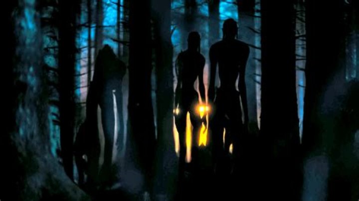 The Watchers Fairies: Enigmatic Guardians of the Night