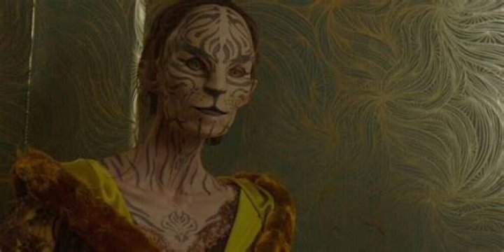 Tigris in The Hunger Games: A Deep Dive into Her Character and Significance