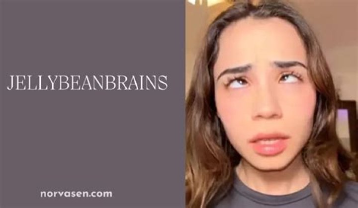 Uncovering the Truth: Jellybeanbrains Data Breach Exposed