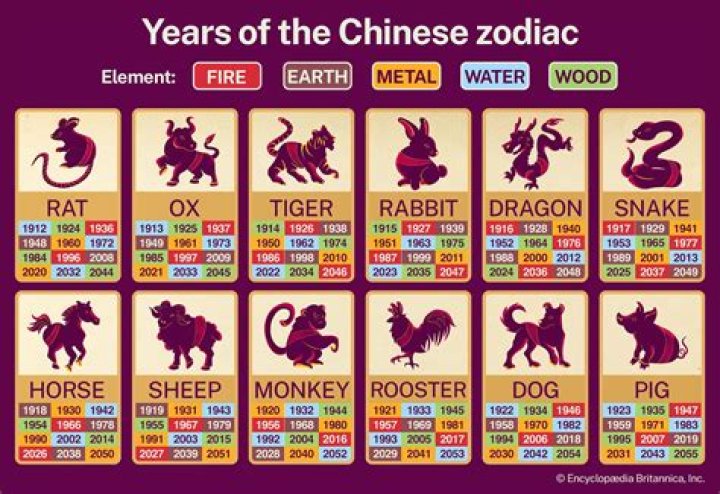 Understanding the 1975 Chinese Zodiac: A Comprehensive Guide