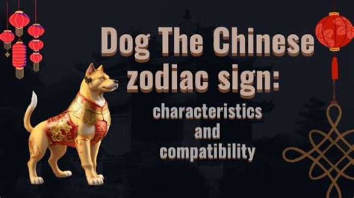 Understanding the Chinese Zodiac: Dog Personality Traits