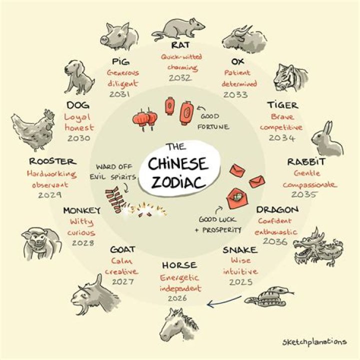 Understanding the Chinese Zodiac: The Rabbit and the Dog
