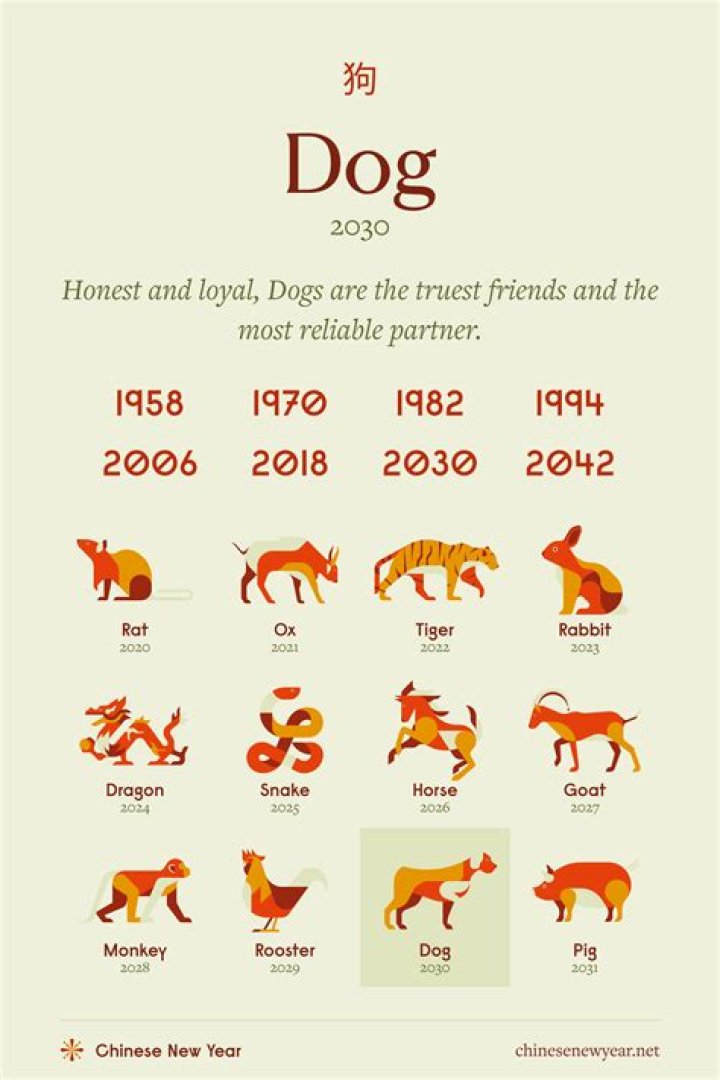 Understanding the Dog Element in the Chinese Zodiac