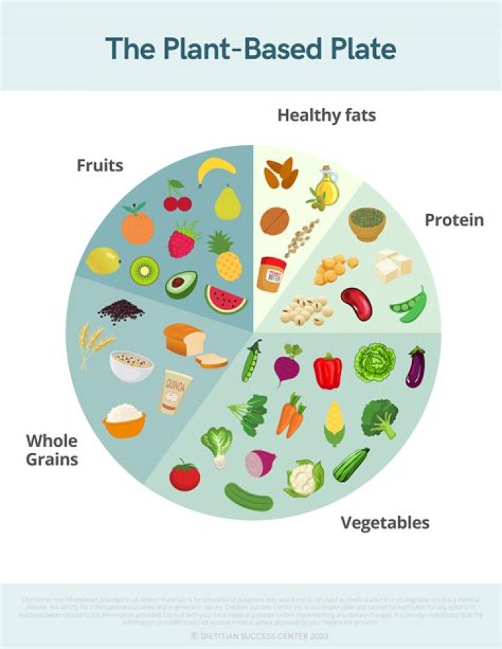 Understanding Vegamovise: The Rise of Plant-Based Nutrition