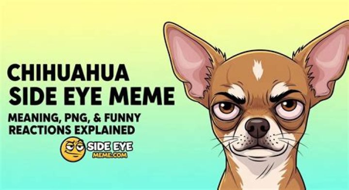 Unpacking the Side Eye Meme: Origins, Impact, and Cultural Significance