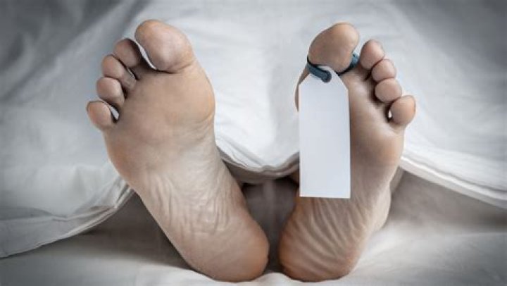 Unveiling the Truths: Lacey Fletcher Autopsy Reveals Hidden Secrets