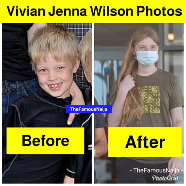 Vivian Jenna Wilson Net Worth: A Comprehensive Look into Her Financial Success