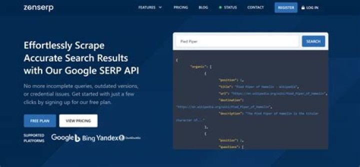 What is SERP API? Understanding the Power of Search Engine Results Page APIs